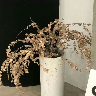 南宫FurryQQ群介绍